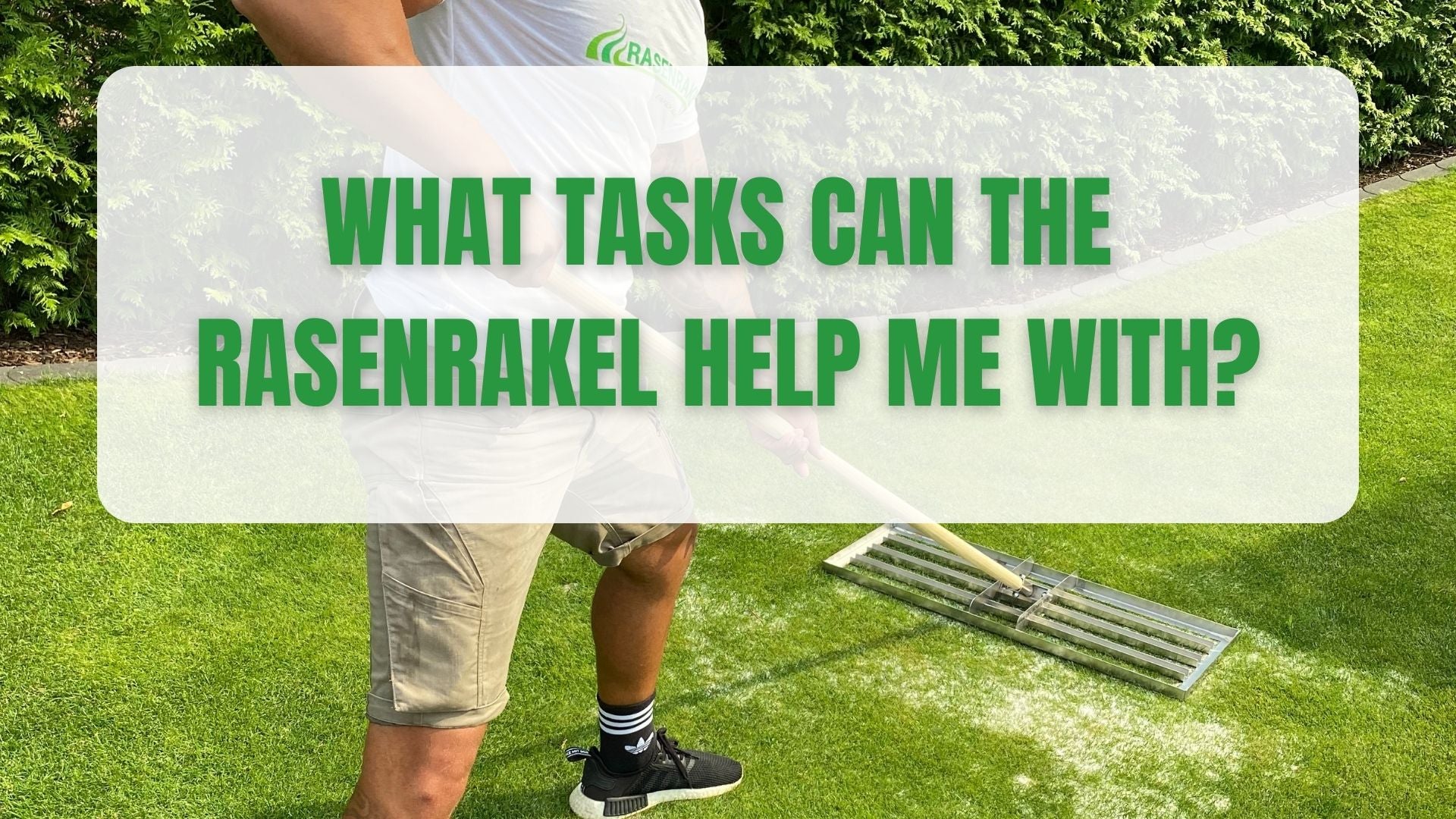 What tasks can the Rasenrakel help me with?